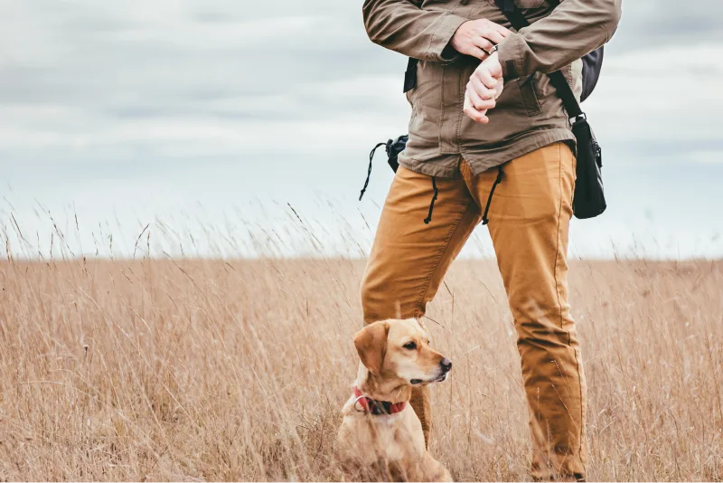 Pet Tracker vs. Pet Finder: What’s the Difference? — cover